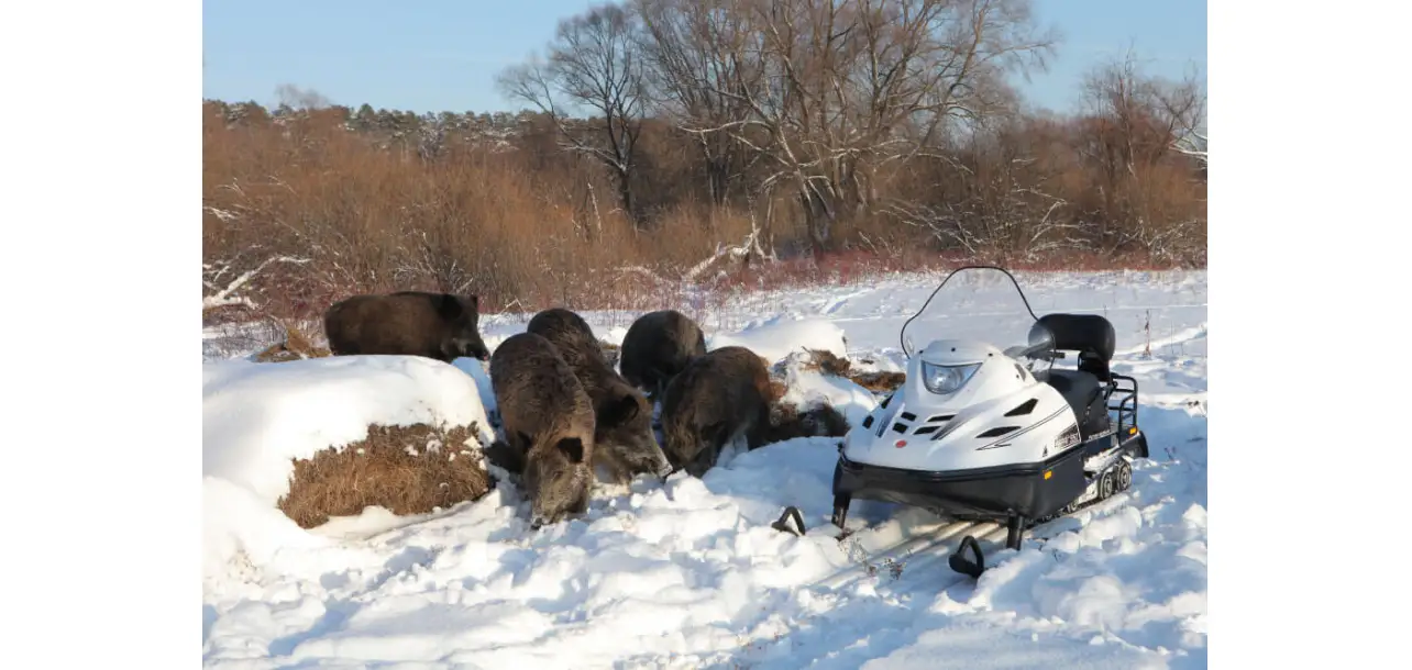 Фотография товара №4