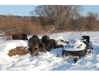 Фотография товара №4