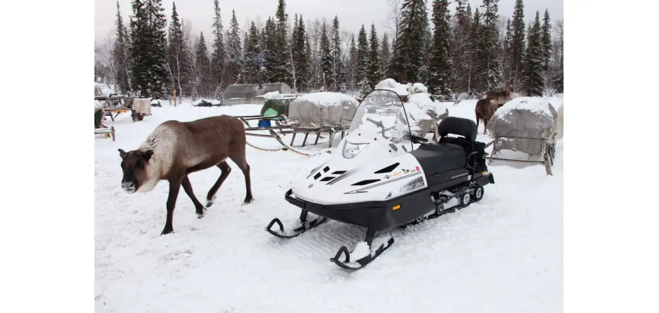 Фотография товара №5